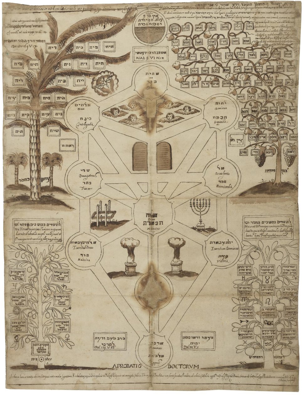 Arbor Cabalistica Kabbalistischer Baum, ca. 1625 von Unbekannt