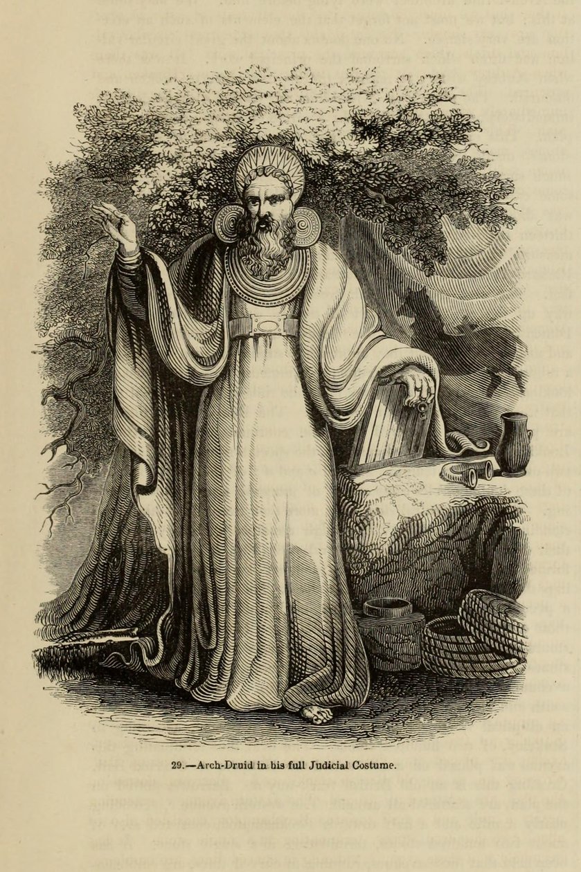 Erz-Druide in seiner vollen richterlichen Tracht aus dem Buch Old England: A Pictorial Museum, 1845 von Unbekannt