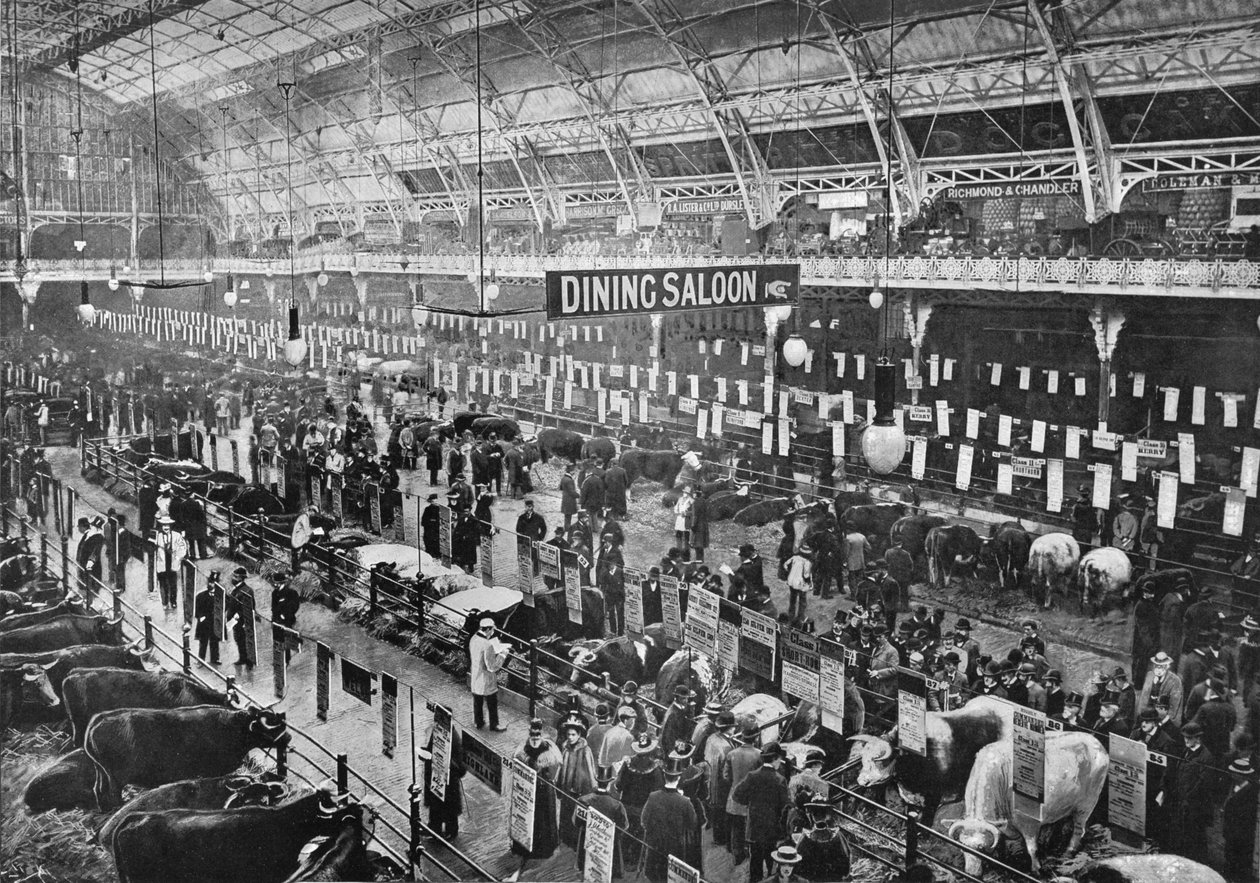 Auf der Smithfield Club Viehschau, Agricultural Hall, Islington, London, 1902-1903 von Unbekannt