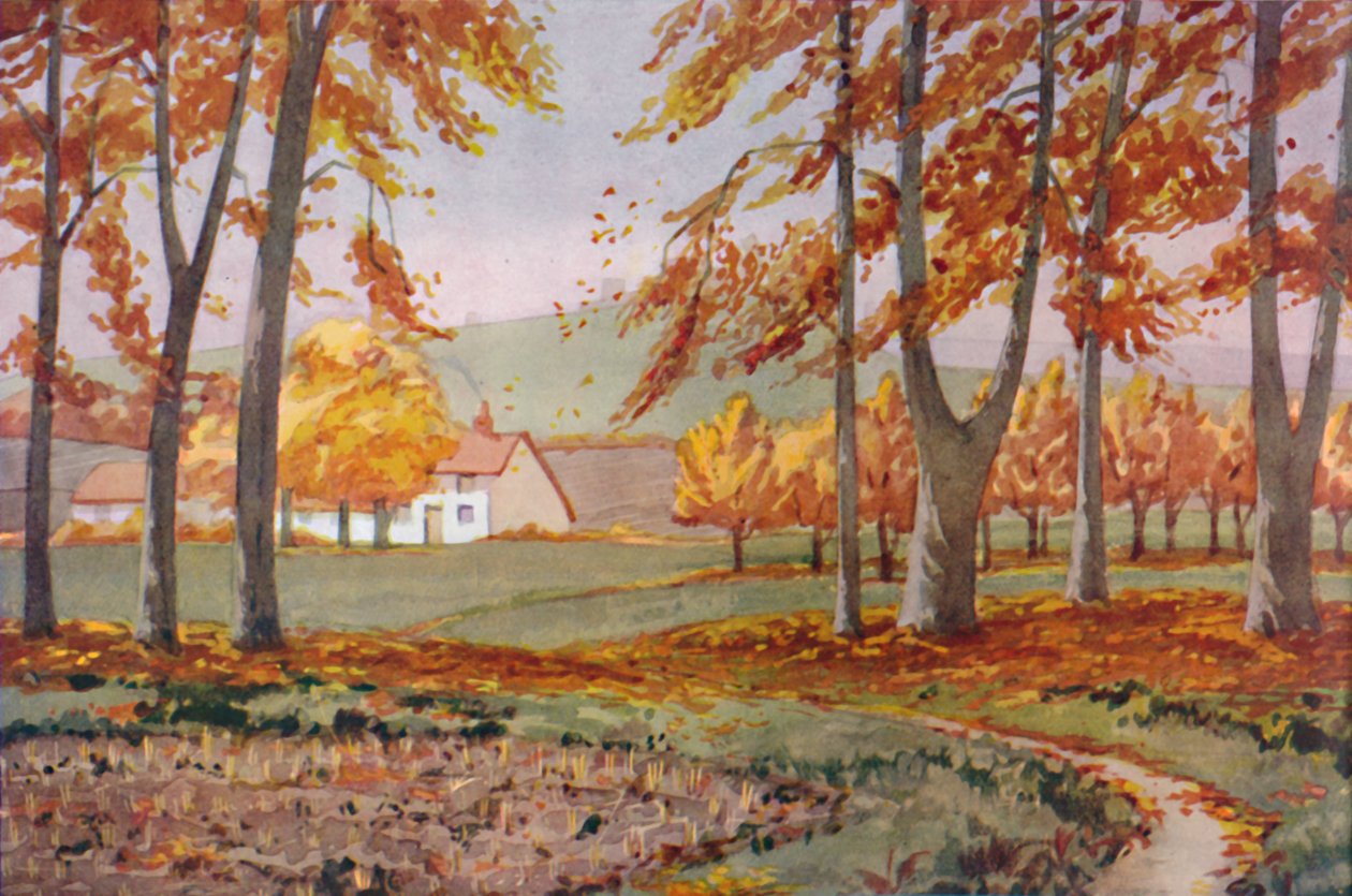 Herbst - Die physikalischen, chemischen und biologischen Veränderungen durch die Sonne im Laufe des Jahres, 1935 von Unbekannt