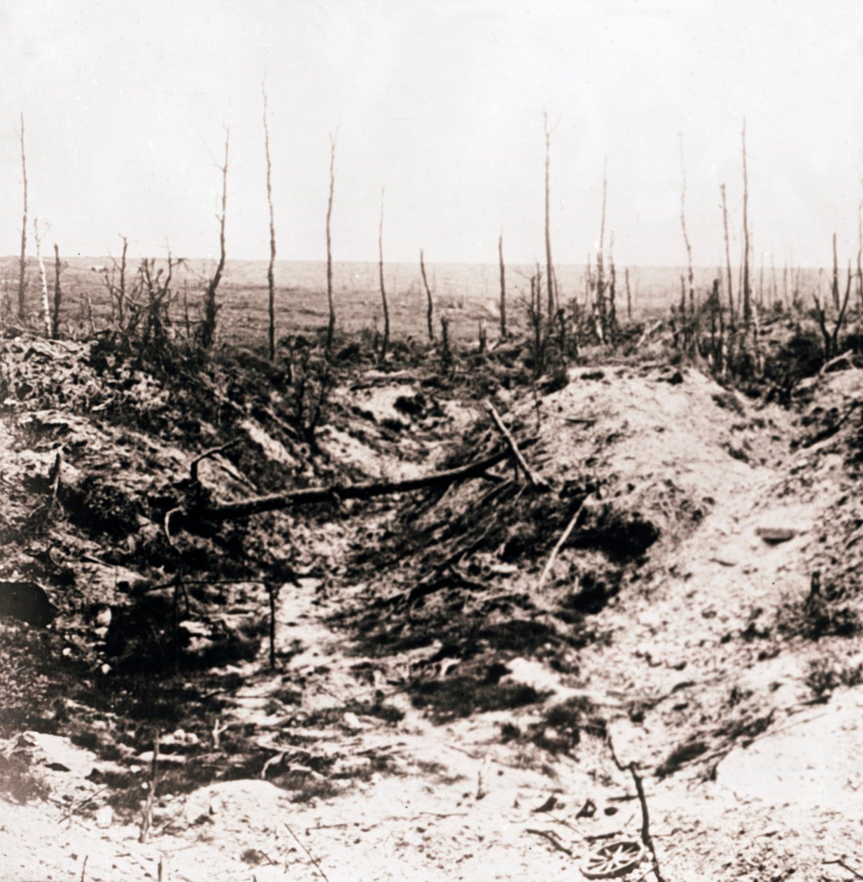 Schlachtfeld, um 1914-1918 von Unbekannt