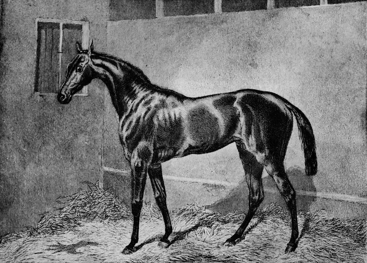 Beadsman, 1855-1872, 1911 von Unbekannt