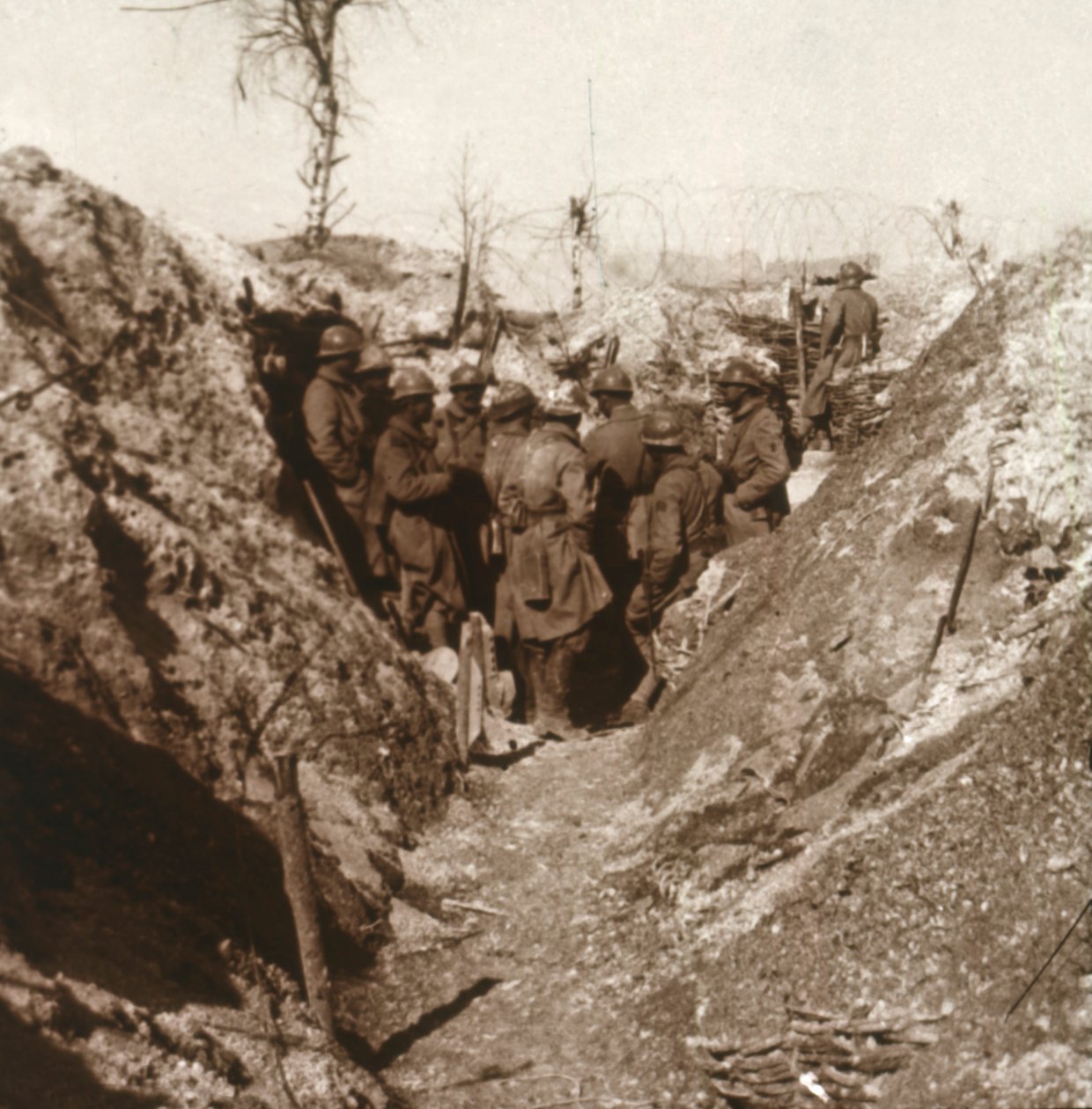 Bois de la Grille vor dem Angriff, Nordfrankreich, um 1914-1918 von Unbekannt