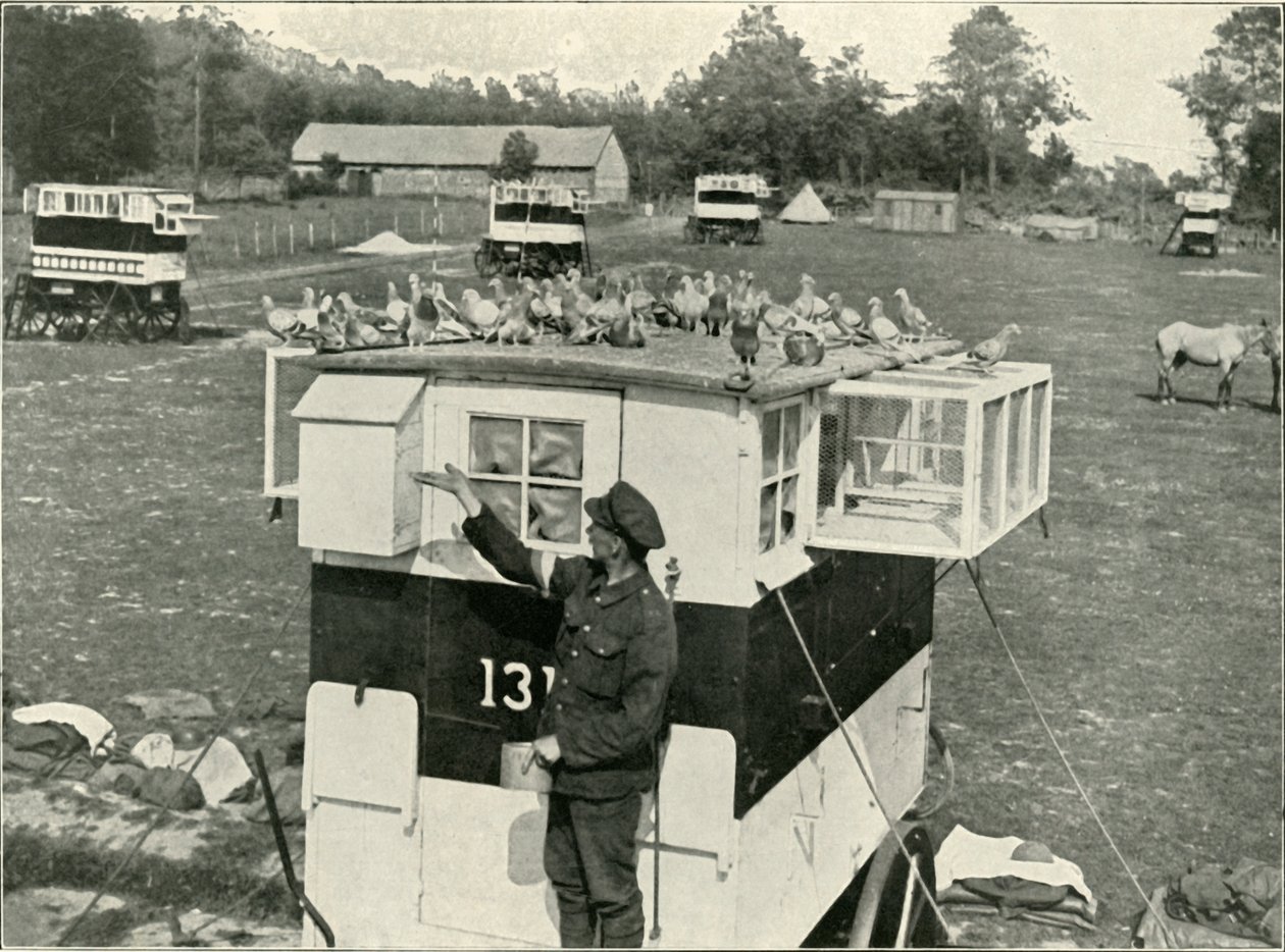Träger-Tauben der britischen Armee in Frankreich: Pferdegezogene Lofts, 1919 von Unbekannt