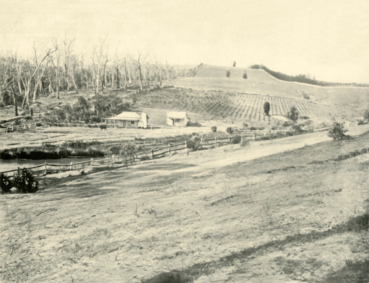 Bush-Arbeiterheim, Gippsland, Victoria, 1901 von Unbekannt
