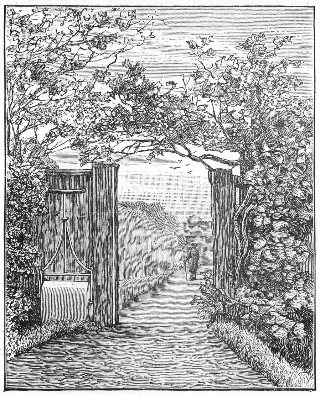 Charles Darwin im Sandweg bei Down House, ca. 1870-1887 von Unbekannt