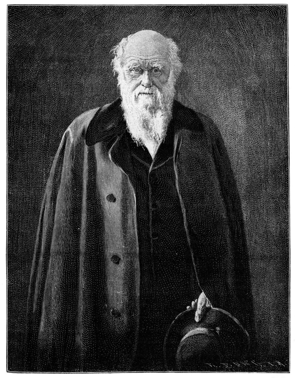 Charles Darwin, renommierter Naturforscher und Denker, 1900 von Unbekannt