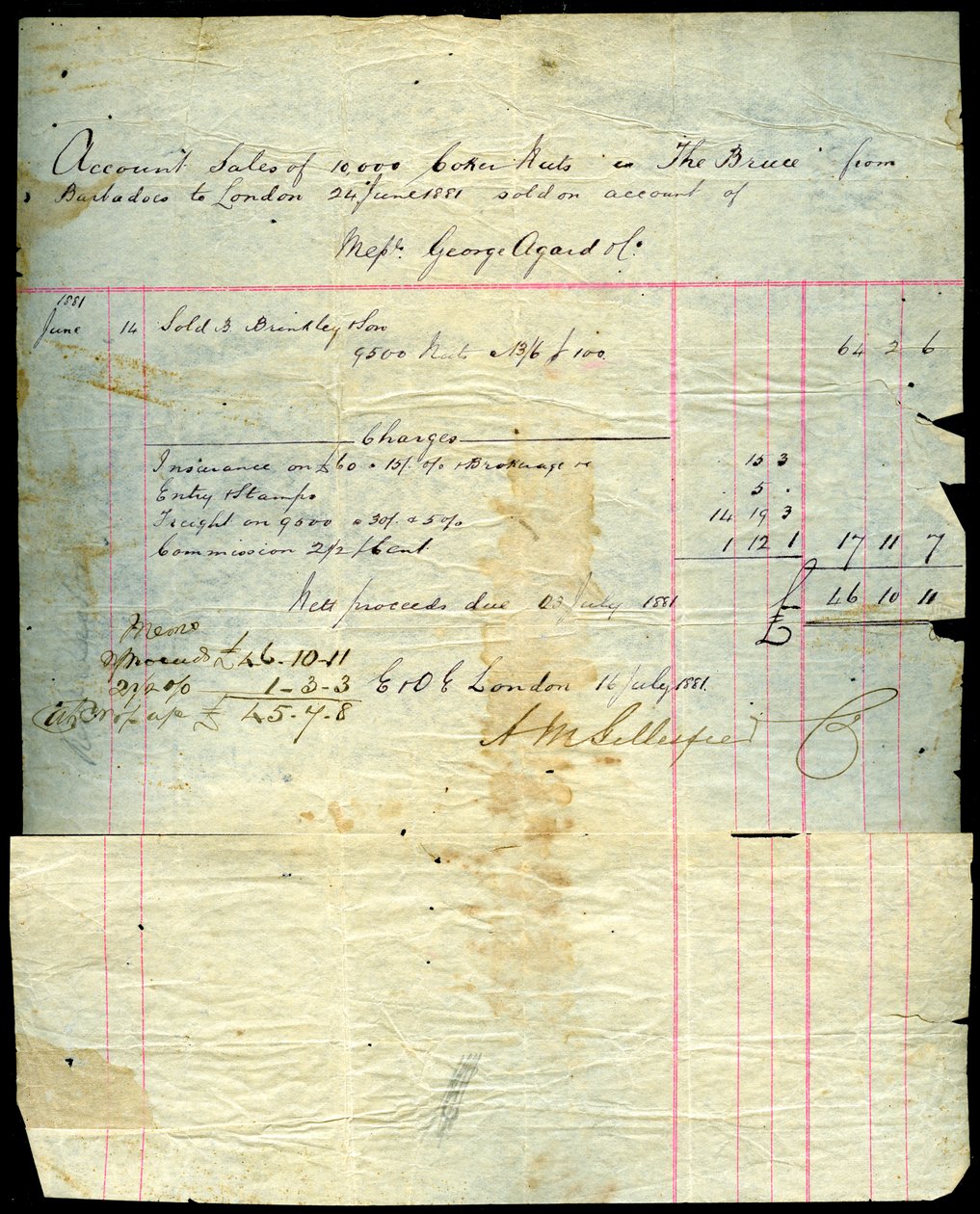 Kokosnuss-Verkaufsquittung, Barbados nach London, 1881 von Unbekannt