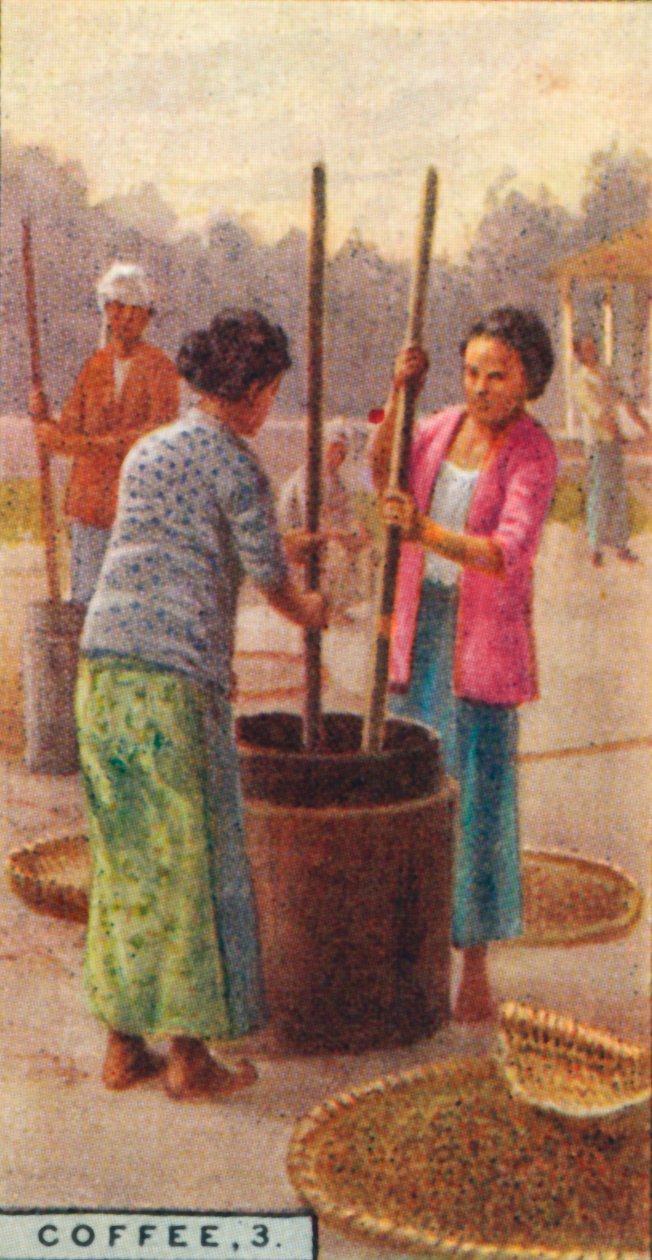 Kaffee, 3. Schälen der Bohnen, Java, 1928 von Unbekannt
