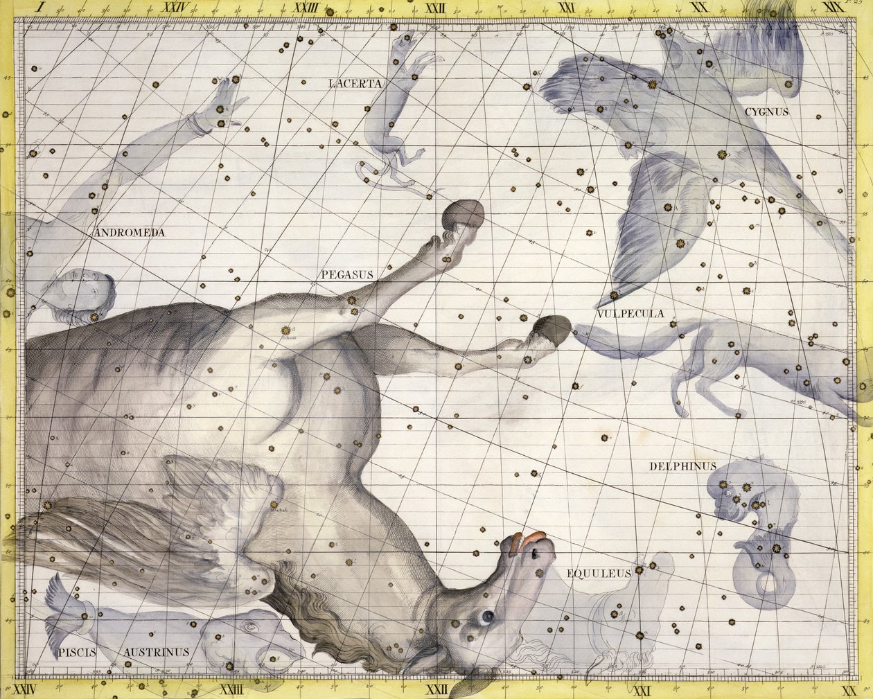 Sternbild Pegasus, 1729 von Unbekannt