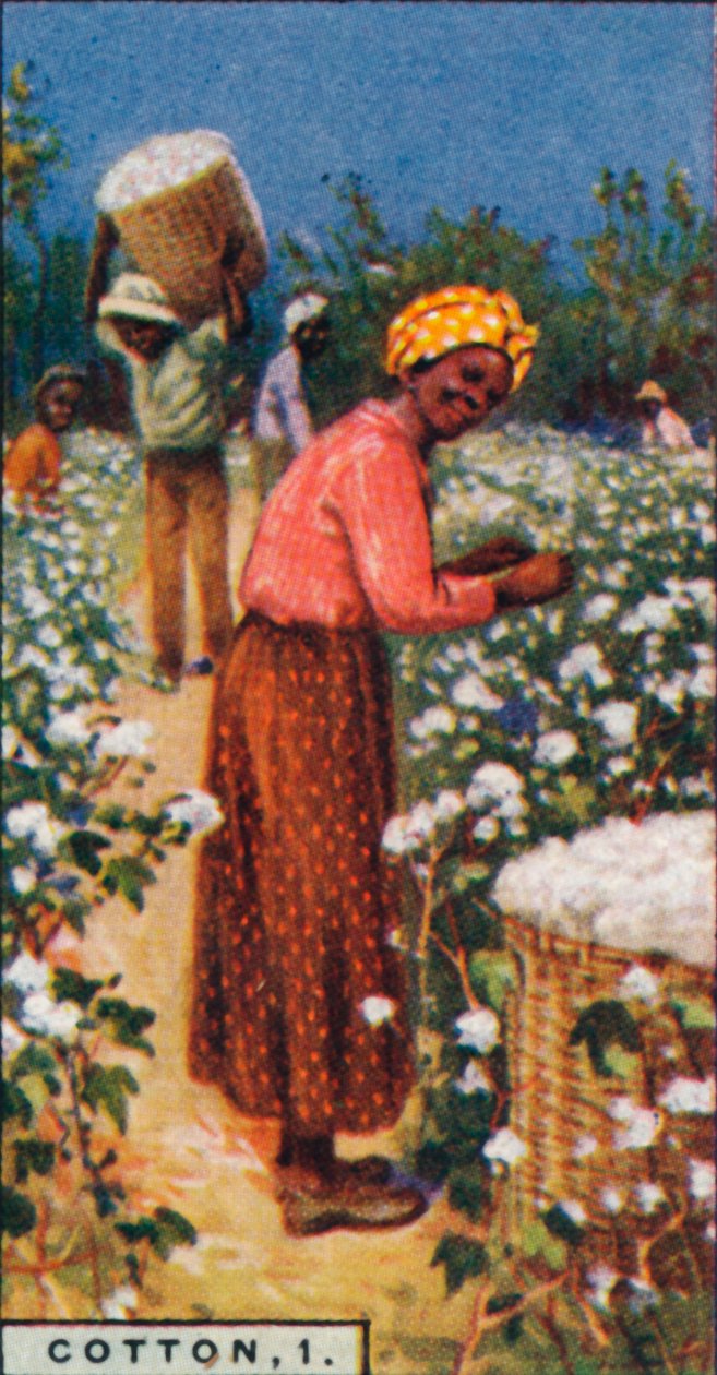 Baumwolle, 1. - Baumwollsamen pflücken, Westindien, 1928 von Unbekannt
