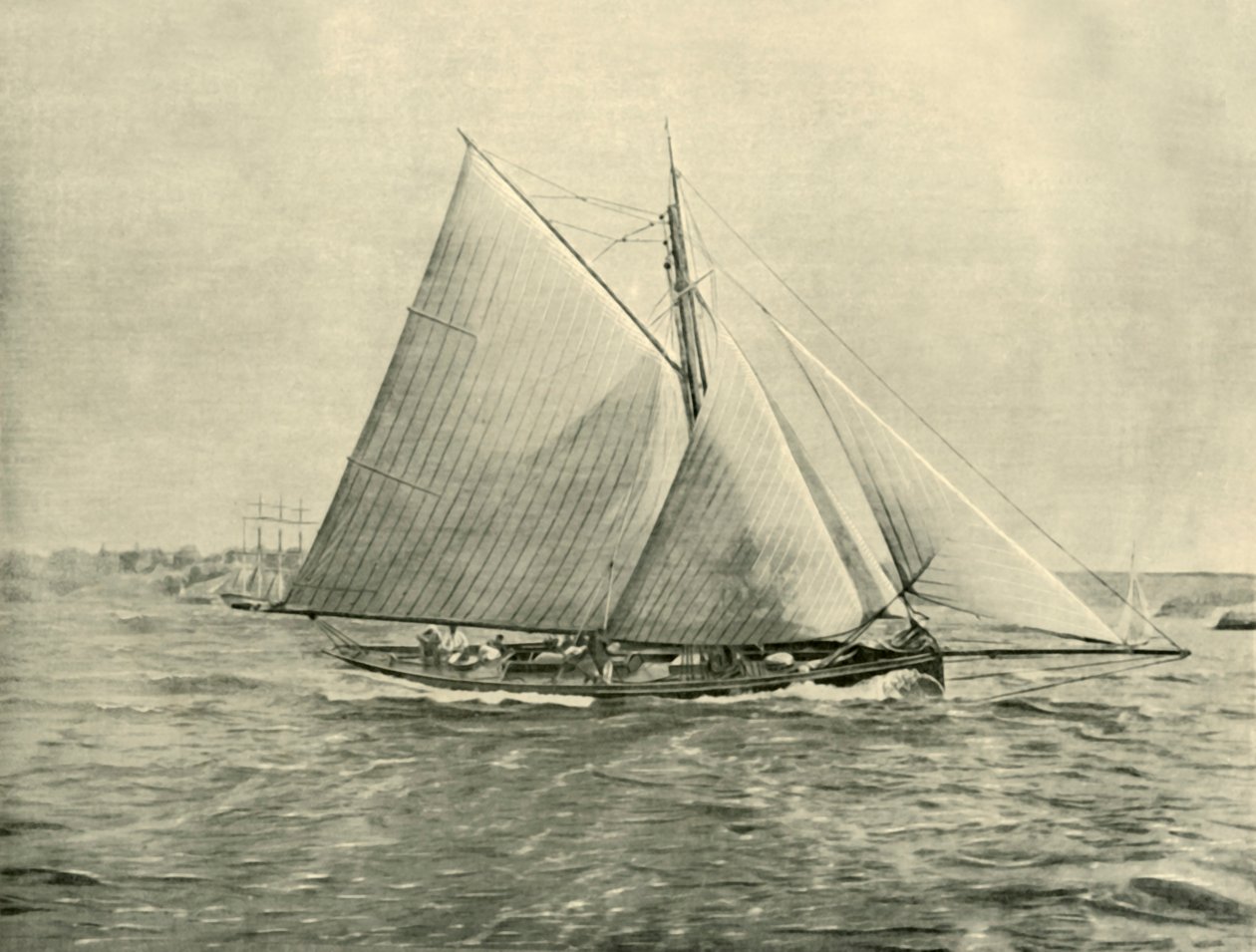 Kreuzfahrt in Port Jackson, 1901 von Unbekannt