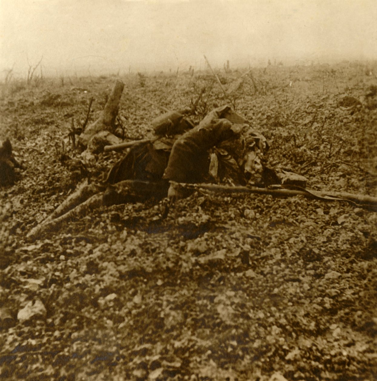 Toter Soldat auf Hügel 304, nach der Schlacht von Verdun, Nordfrankreich, 1916 von Unbekannt
