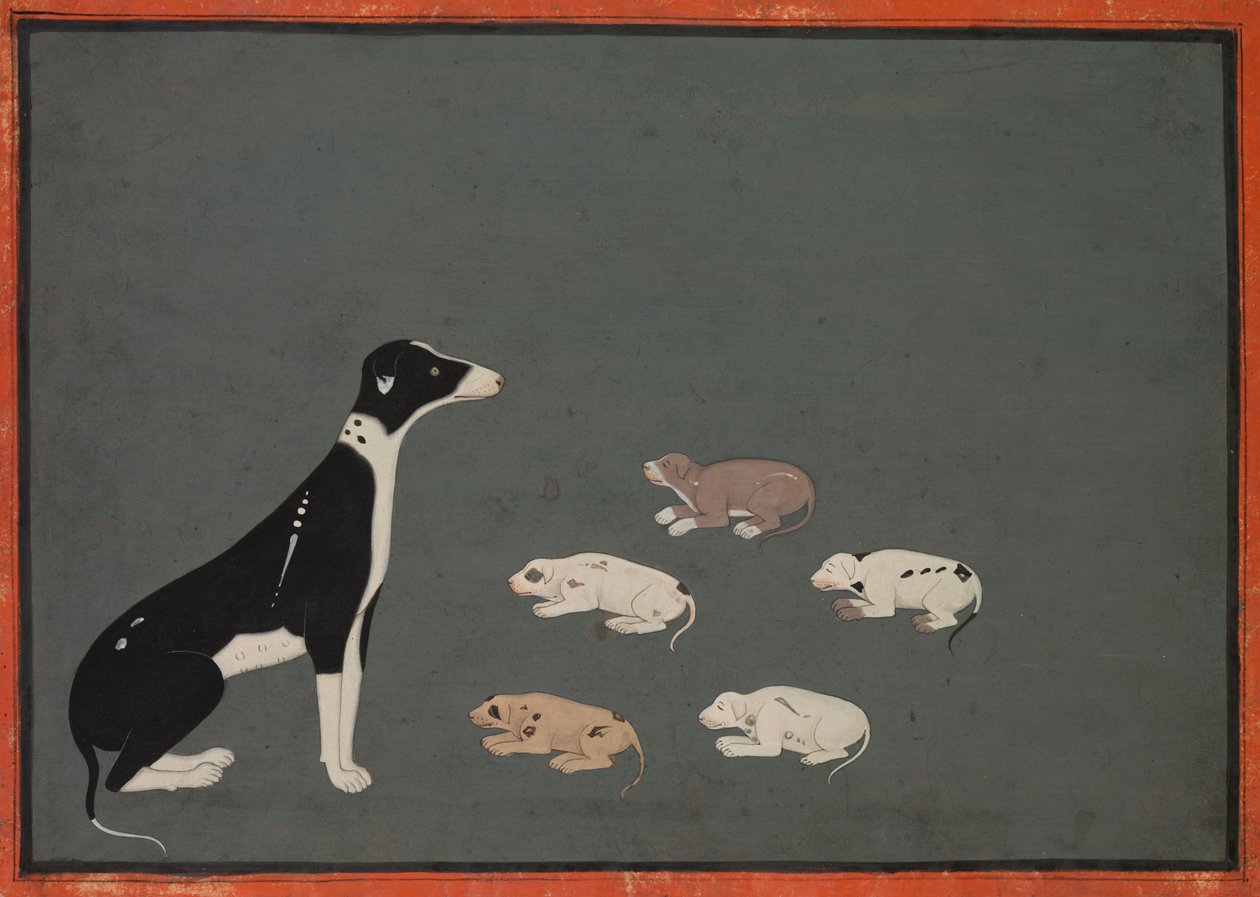 Hund mit Welpen, ca. 1780 von Unbekannt