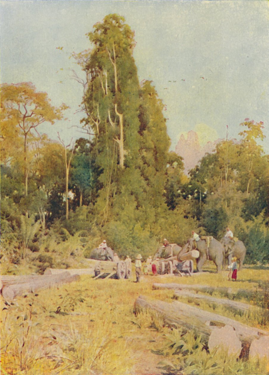 Elefanten stapeln Teakholz, 1924 von Unbekannt