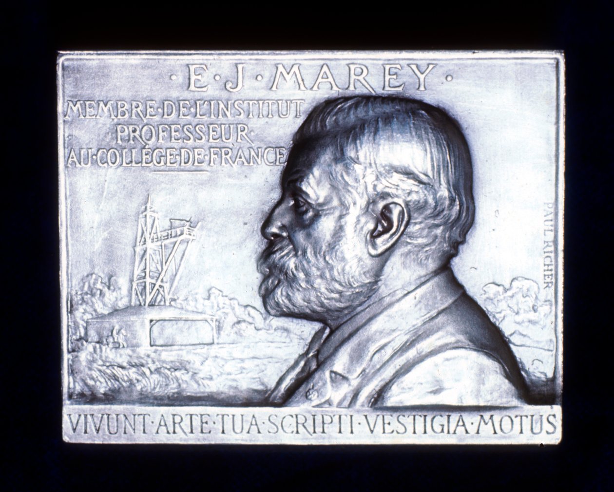 Étienne-Jules Marey, 1830-1903, französischer Physiologe, 19. Jahrhundert von Unbekannt
