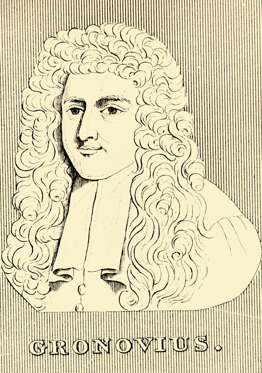 Gronovius, 1690-1762, 1830 von Unbekannt