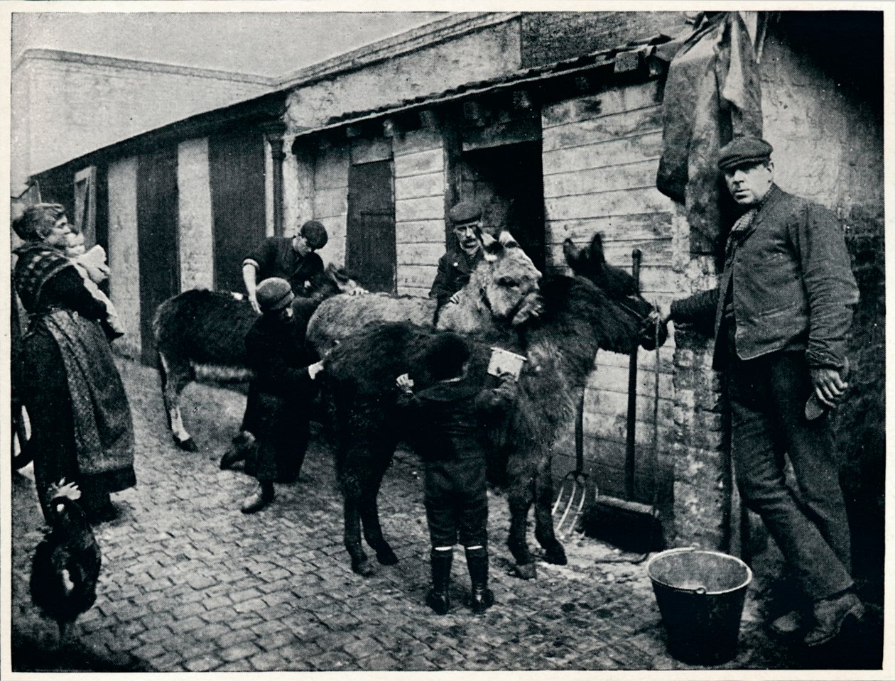 Pflege von Karreneseln, London von Unbekannt