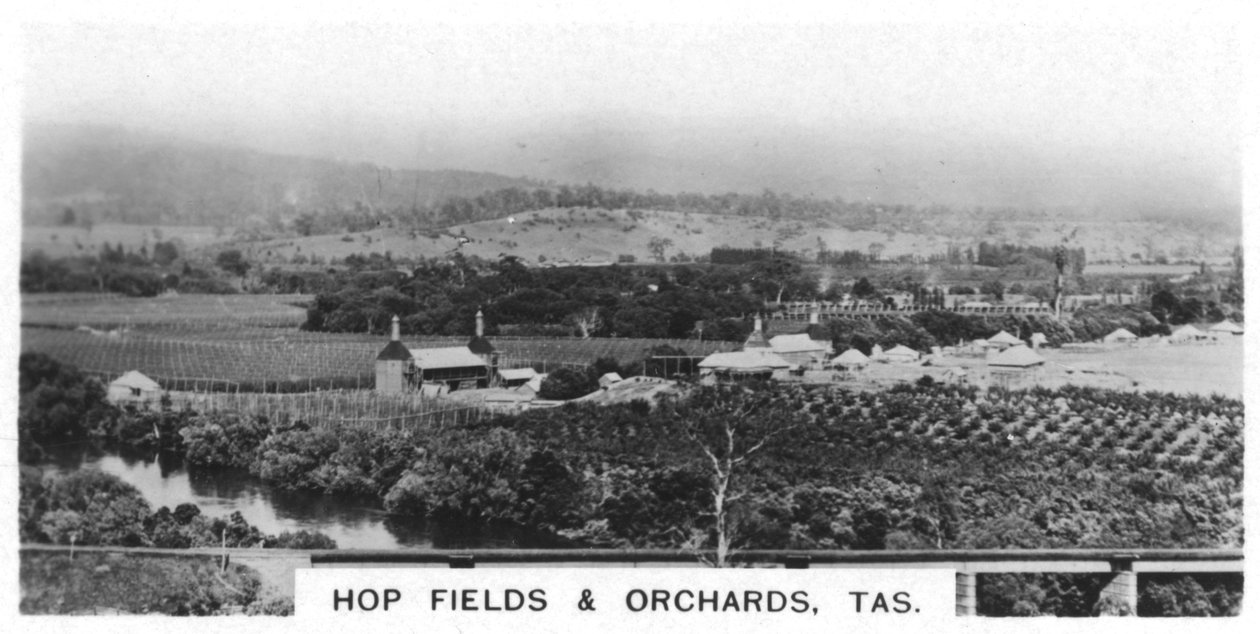 Hopfenfelder und Obstgärten, Tasmanien, Australien, 1928 von Unbekannt