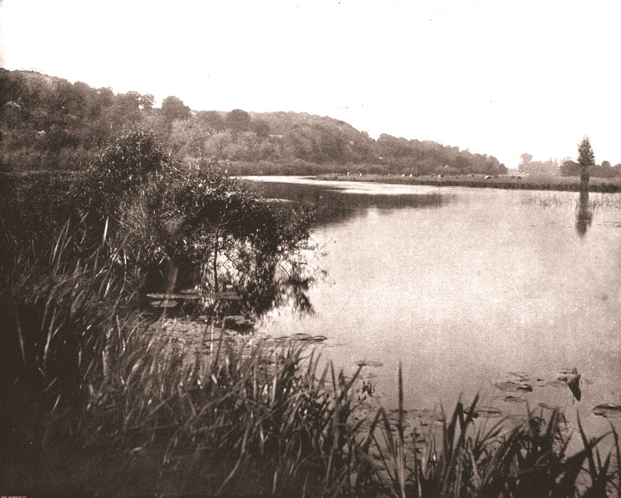 Hurley Reach, Fluss Themse zwischen Bisham und Medmenham, Buckinghamshire, 1894 von Unbekannt