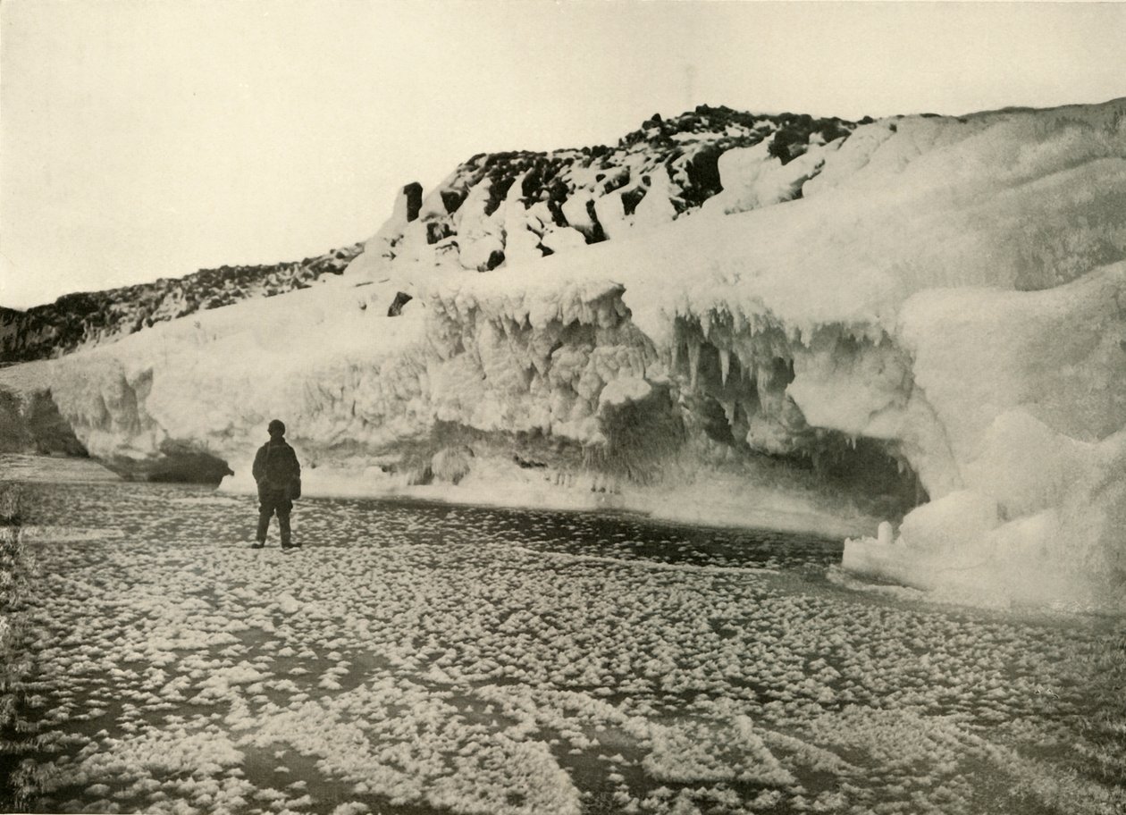 Eisblumen auf neu gebildetem Meereis zu Beginn des Winters, ca. 1908, 1909 von Unbekannt