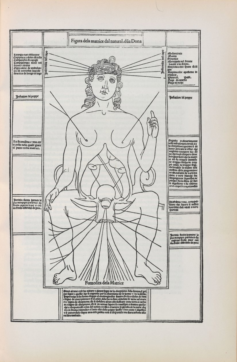 Illustration aus Fasciculo di medicina von Johannes de Ketham, 1493 von Unbekannt