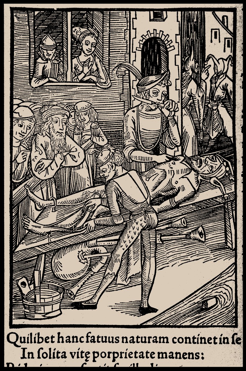 Illustration zum Buch Narrenschiff von Sebastian Brant, 1497 von Unbekannt