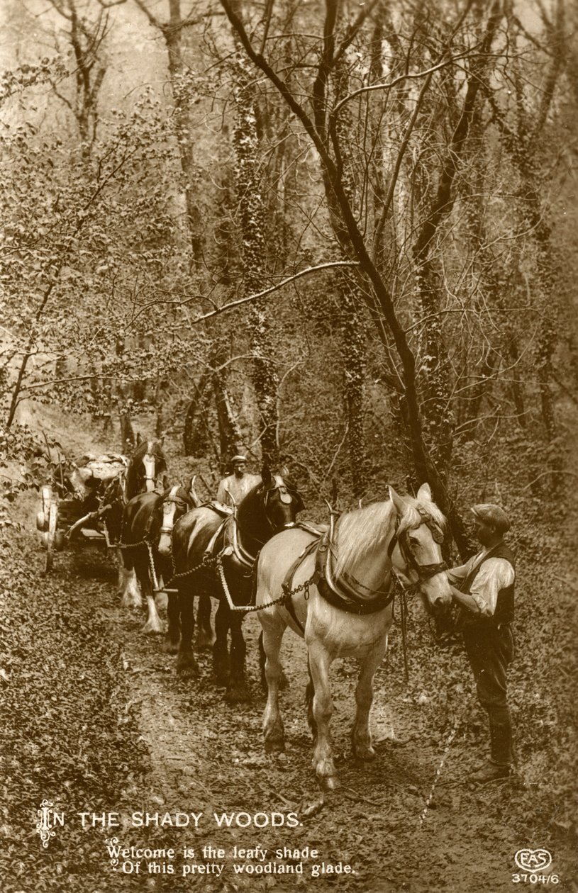 Im schattigen Wald, späte 19. oder frühes 20. Jahrhundert von Unbekannt