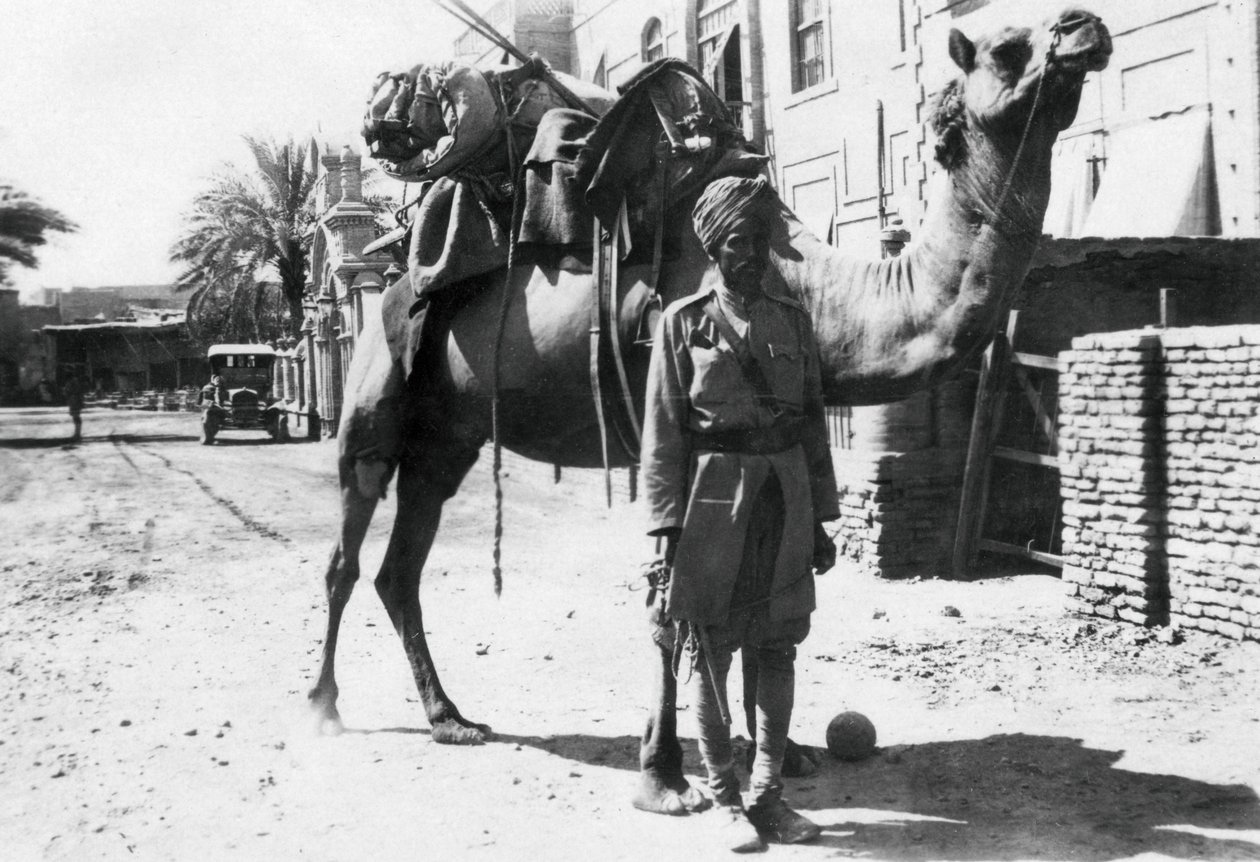 Indischer Kamelreiter, Bagdad, 1918 von Unbekannt