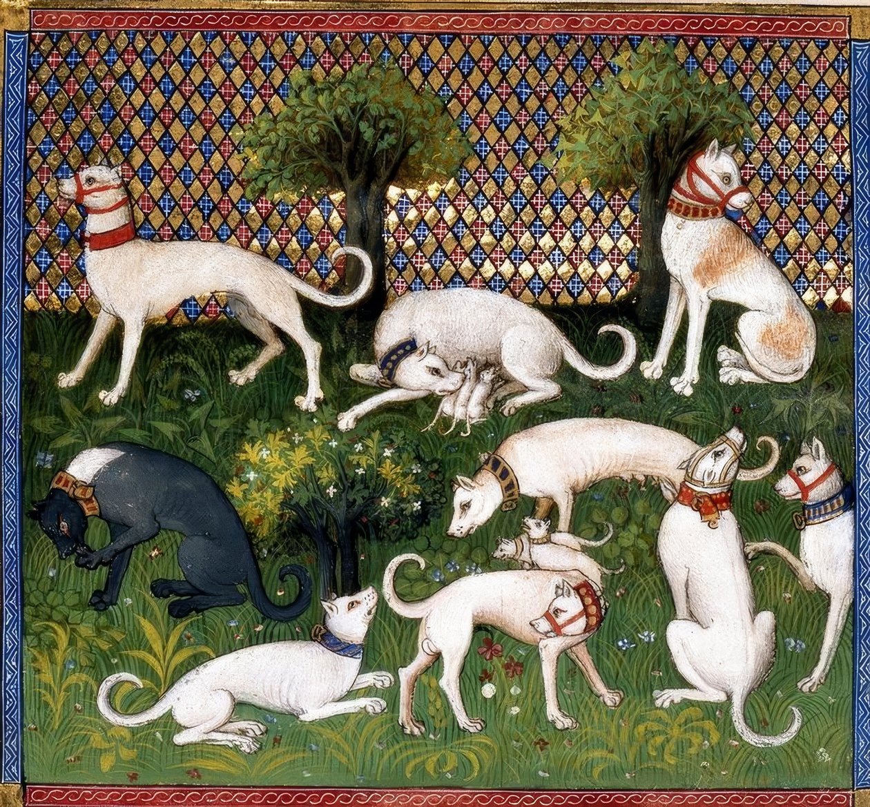 Jagdhunde (Alan) aus dem Livre de la Chasse von Unbekannt