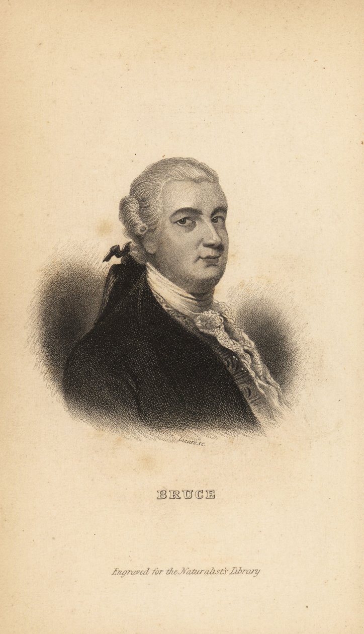 James Bruce of Kinnaird, schottischer Entdecker, Schriftsteller und Naturforscher von Unbekannt