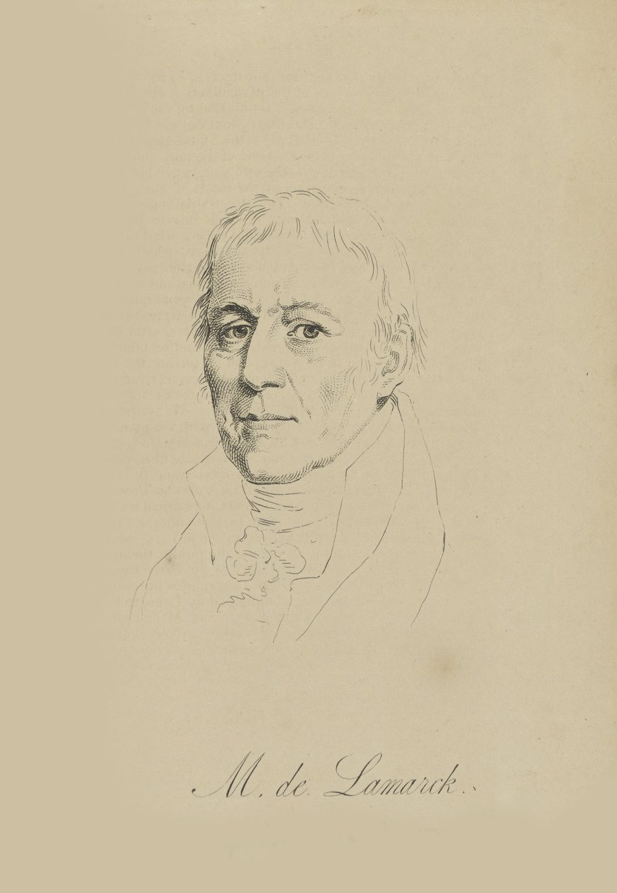 Jean-Baptiste Pierre Antoine de Monet, Chevalier de Lamarck 1744-1829, ca. 1810 von Unbekannt
