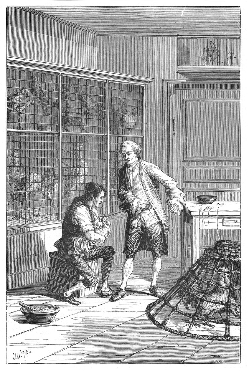 Lazzaro Spallanzani, italienischer Naturforscher und Biologe des 18. Jahrhunderts, 1874 von Unbekannt