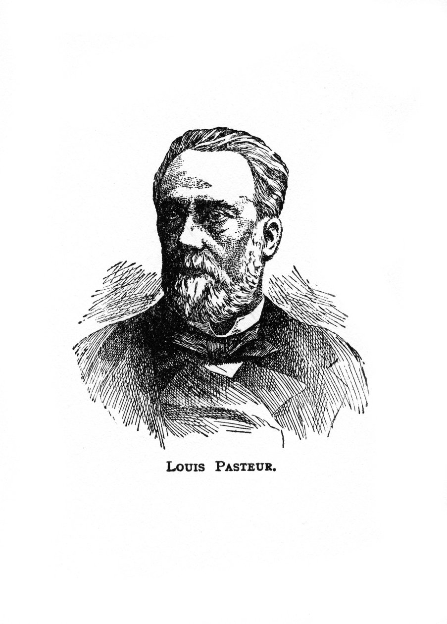 Louis Pasteur, französischer Mikrobiologe und Chemiker des 19. Jahrhunderts, 20. Jahrhundert von Unbekannt