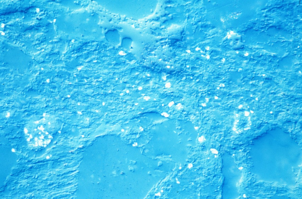 Mineralien, LM Schluffstein von Unbekannt