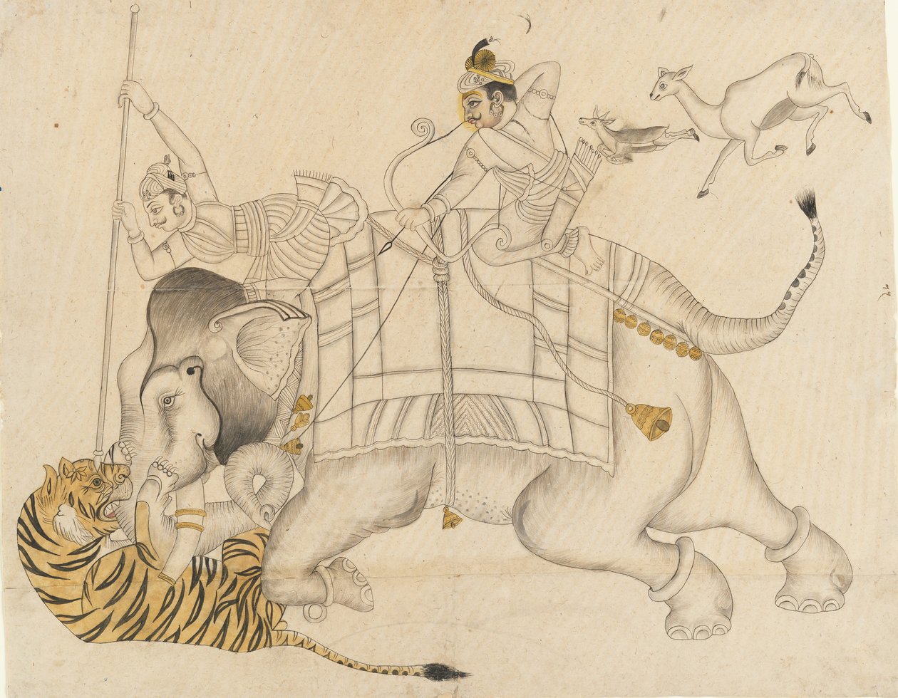 Maharao Shatru Sal II jagt einen Tiger, ca. 1866-89 von Unbekannt