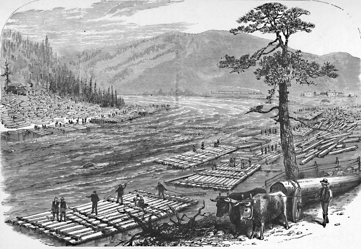 Floßbau auf dem Susquehanna River. Eine Szene an der Linie der Erie Railroad, 1883 von Unbekannt