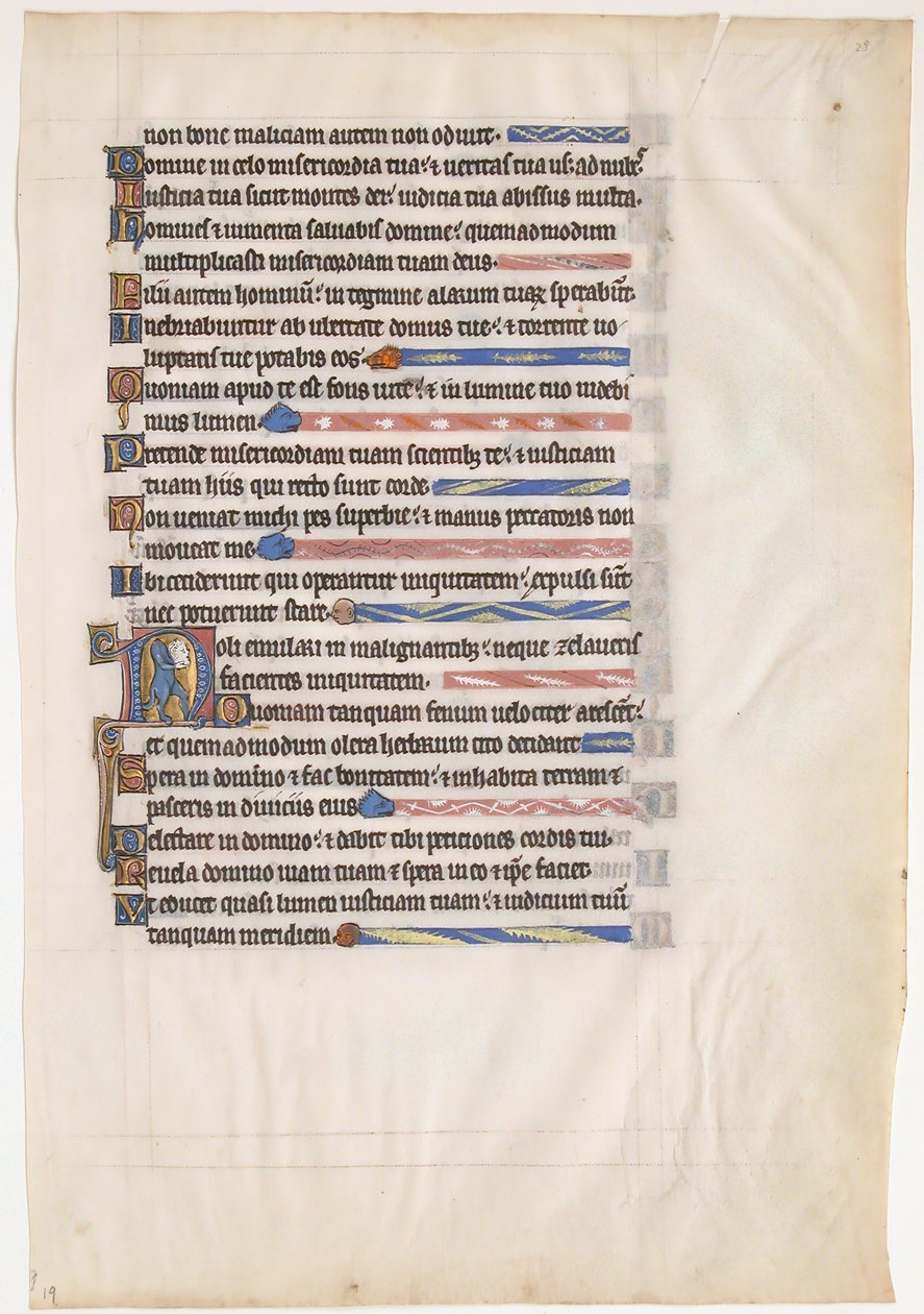 Manuskriptblatt aus einem königlichen Psalter, britisch, 13. Jahrhundert von Unbekannt