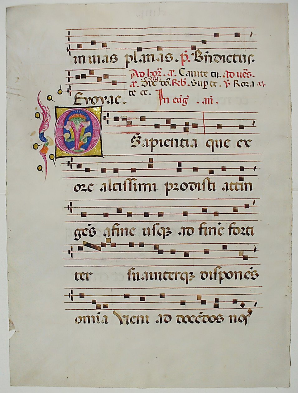 Manuskriptblatt mit Initial O, aus einem Antiphonar, italienisch, 15. Jahrhundert von Unbekannt