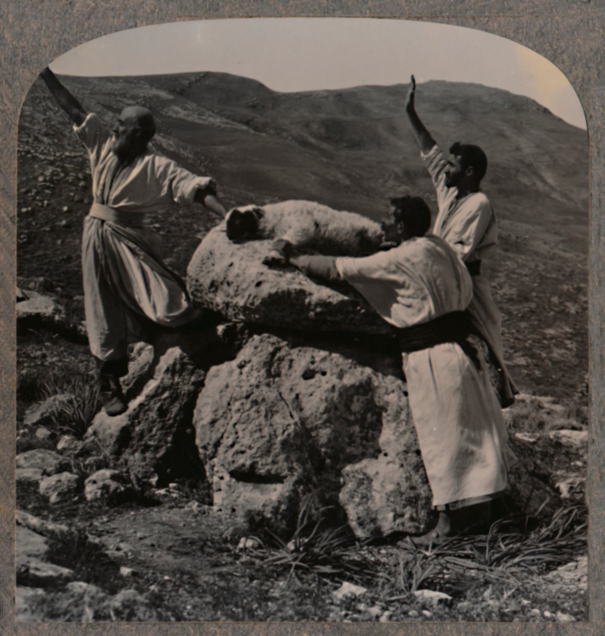 Opfergabe eines Lammes auf dem Altar, Moreh, ca. 1900 von Unbekannt