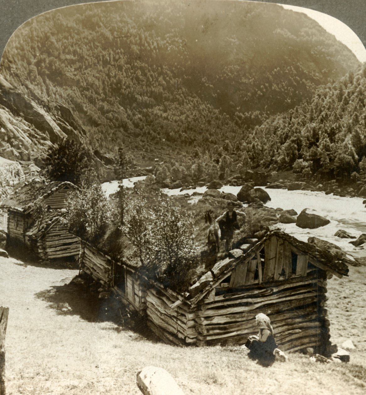Alte Blockhäuser in Bratslandsdal, mit Bäumen auf mit Gras bedeckten Dächern, Norwegen, ca. 1905 von Unbekannt