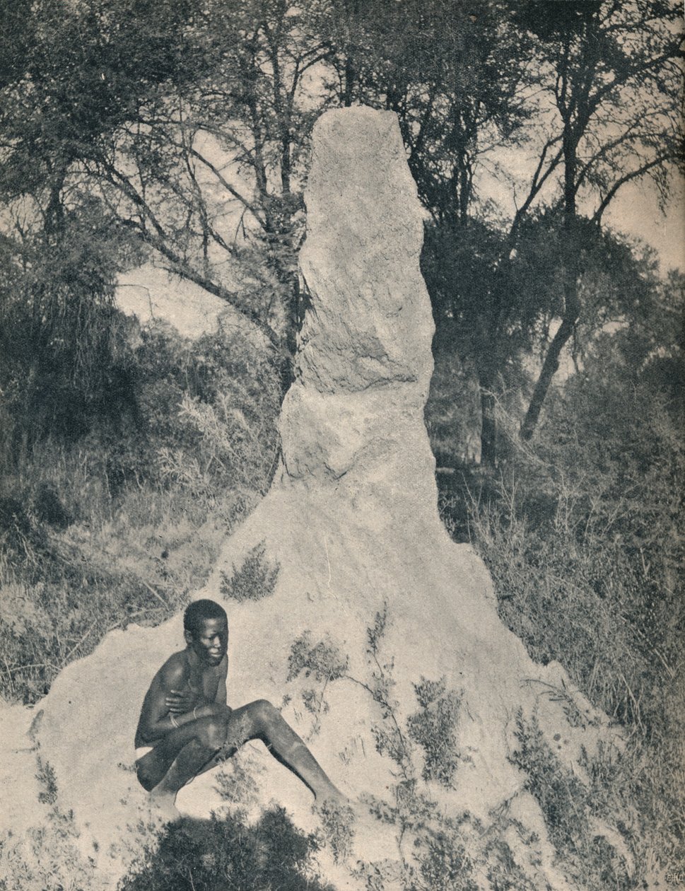 Einer der riesigen Ameisenhügel, die in einigen Gegenden Südafrikas vorkommen, um 1900 von Unbekannt