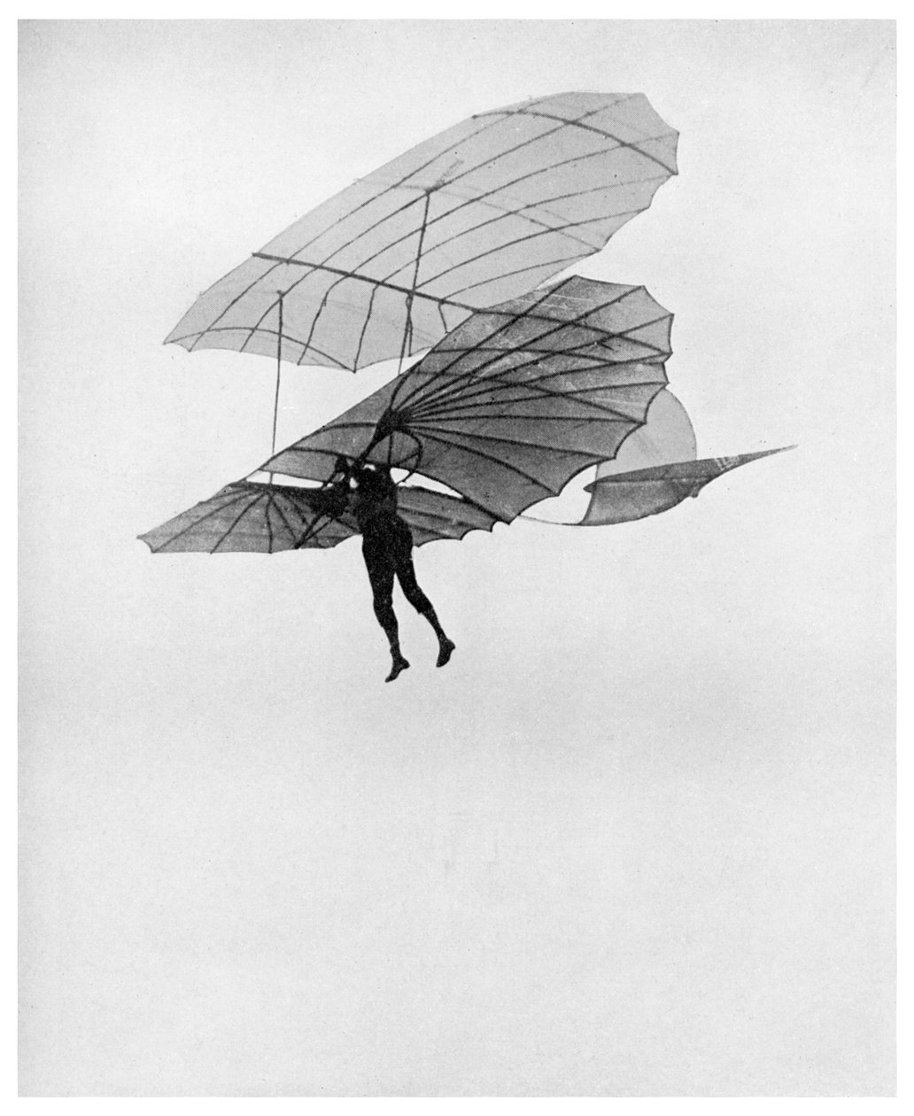Otto Lilienthal macht einen seiner letzten Flüge, 1896 1956 von Unbekannt