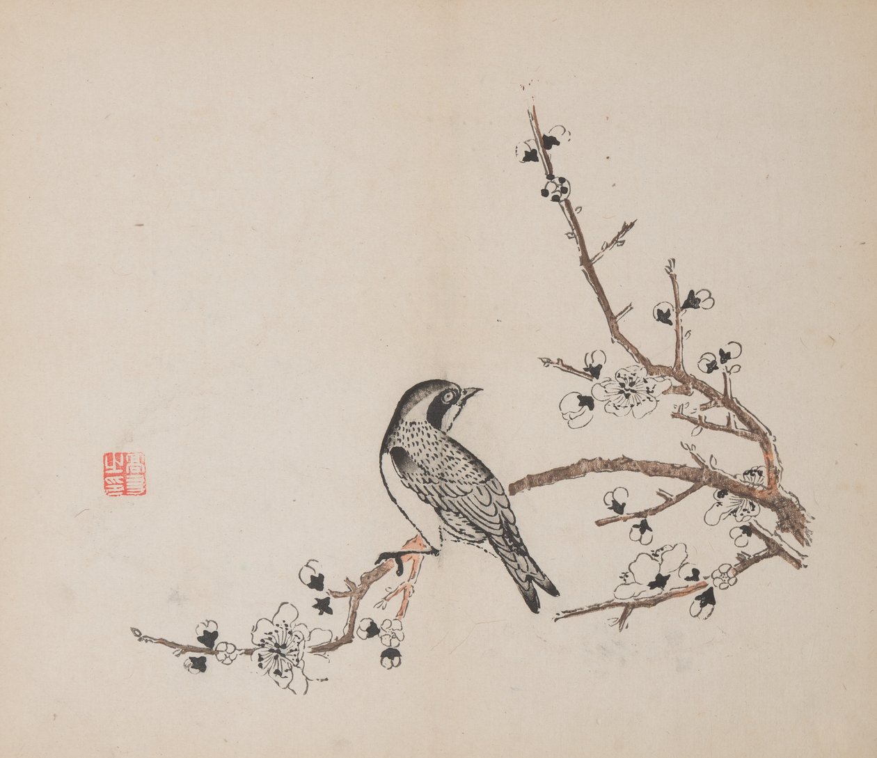 Seite aus Shi Zhu Zhai von Unbekannt