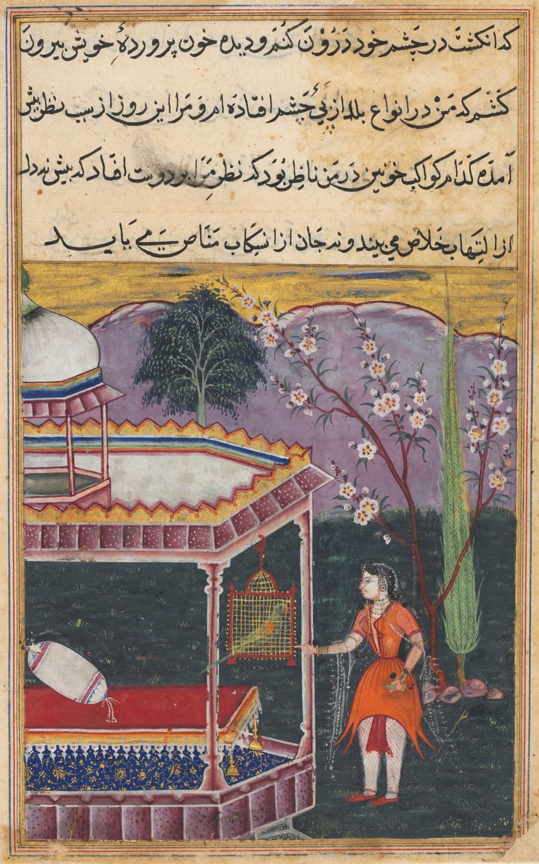 Seite aus Geschichten eines Papageis Tuti-nama: Achte Nacht: Der Papagei spricht Khujasta an..., 1558-1560 von Unbekannt