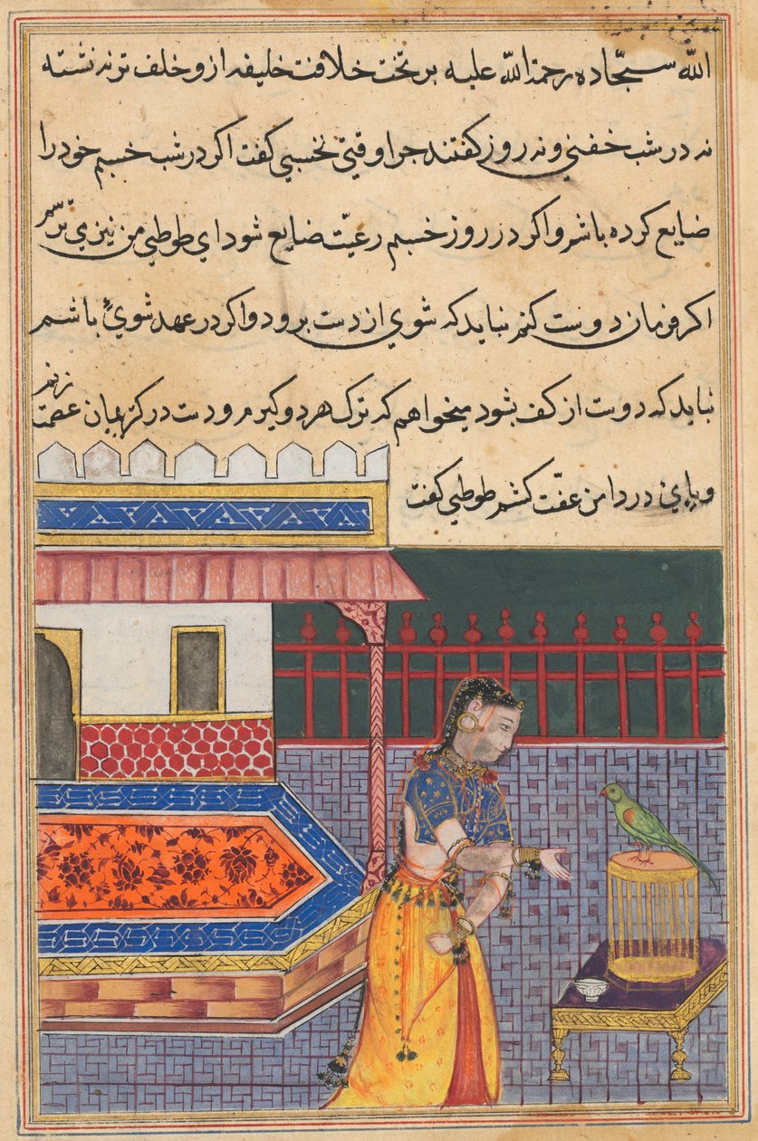 Seite aus den Geschichten eines Papageis Tuti-nama: Einundvierzigste Nacht: Der Papagei spricht zu Khujasta..., ca. 156 von Unbekannt
