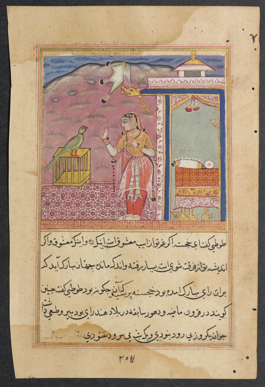 Seite aus Geschichten eines Papageis Tuti-nama: Vierundvierzigste Nacht: Der Papagei spricht..., ca. 1560 von Unbekannt