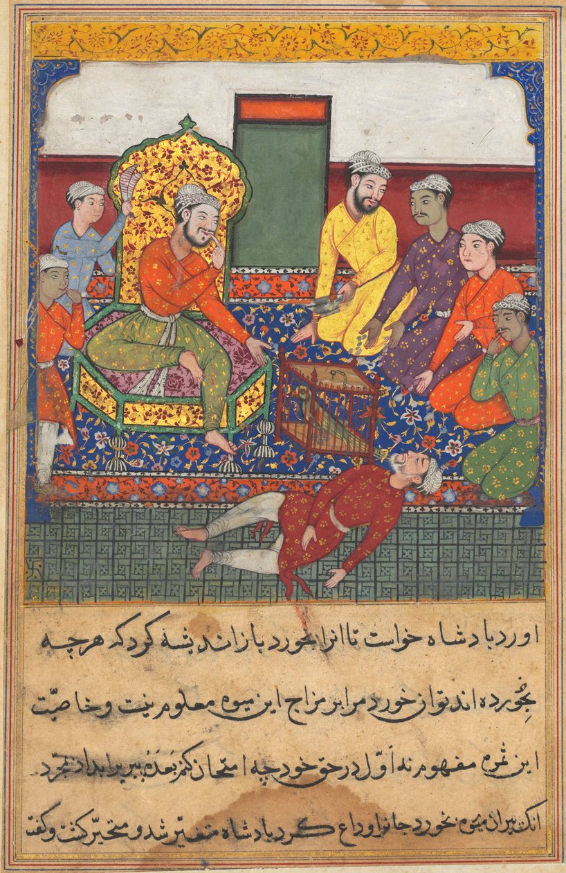 Seite aus Geschichten eines Papageis Tuti-nama: Neunte Nacht: Der alte Mann isst von der Frucht..., ca. 1560 von Unbekannt