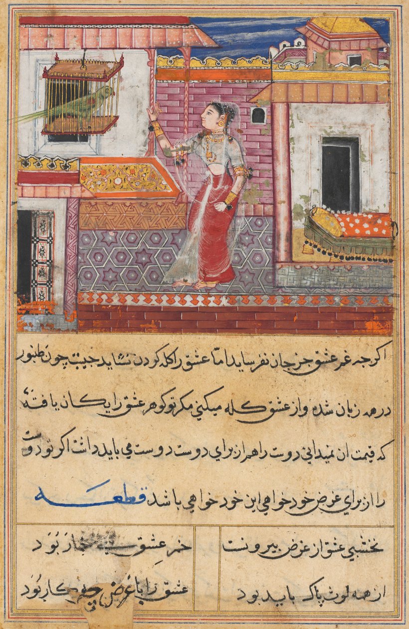 Seite aus Geschichten eines Papageis Tuti-nama: Dreizehnte Nacht: Der Papagei spricht zu Khujasta..., ca. 1560 von Unbekannt
