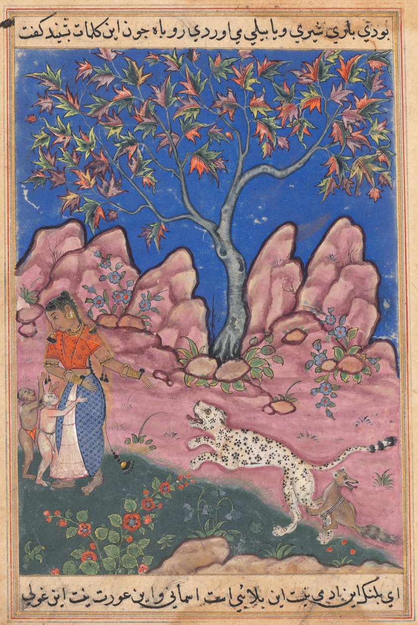 Seite aus Geschichten eines Papageis Tuti-nama: Dreißigste Nacht: Die Frau im Gespräch, um 1560 von Unbekannt